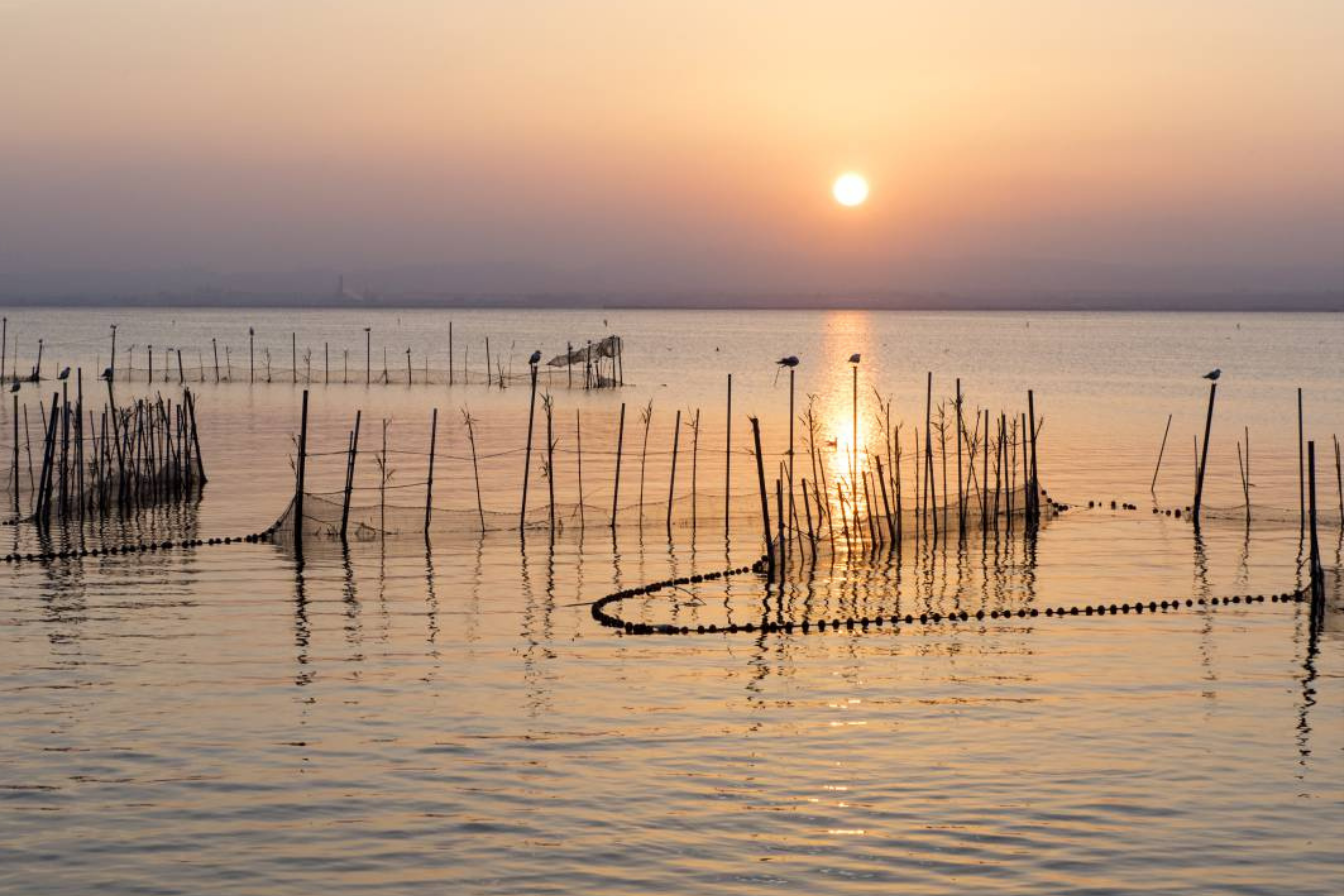 Micuna es sinónimo de sostenibilidad 7411 comprar cunas online