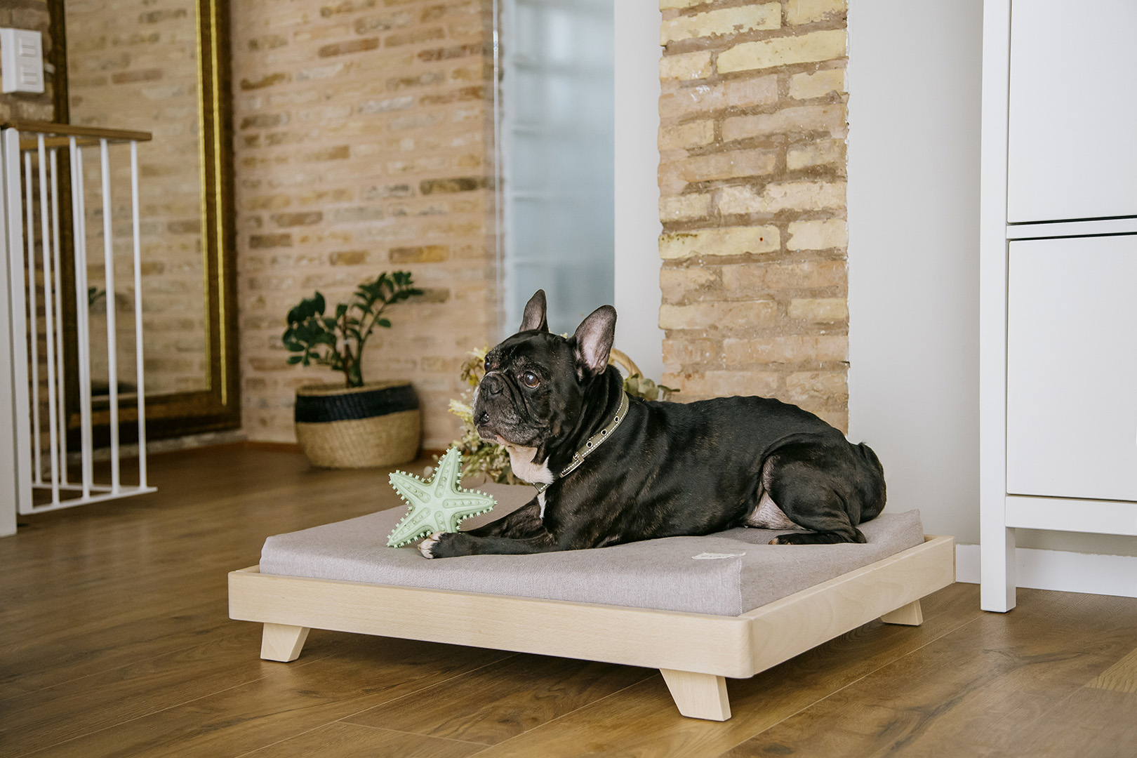 Tatami Koda 6048 Micuna ®