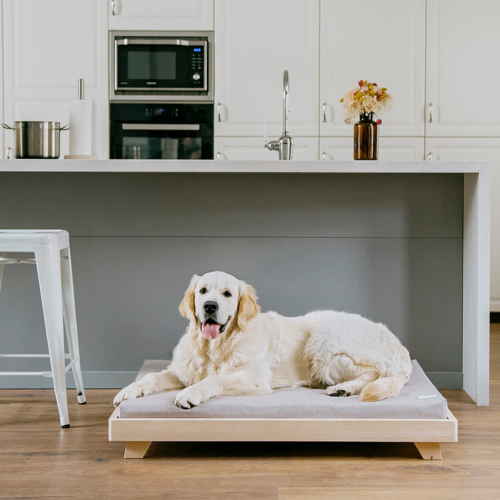 Tatami Big Koda 9698 Micuna tienda online