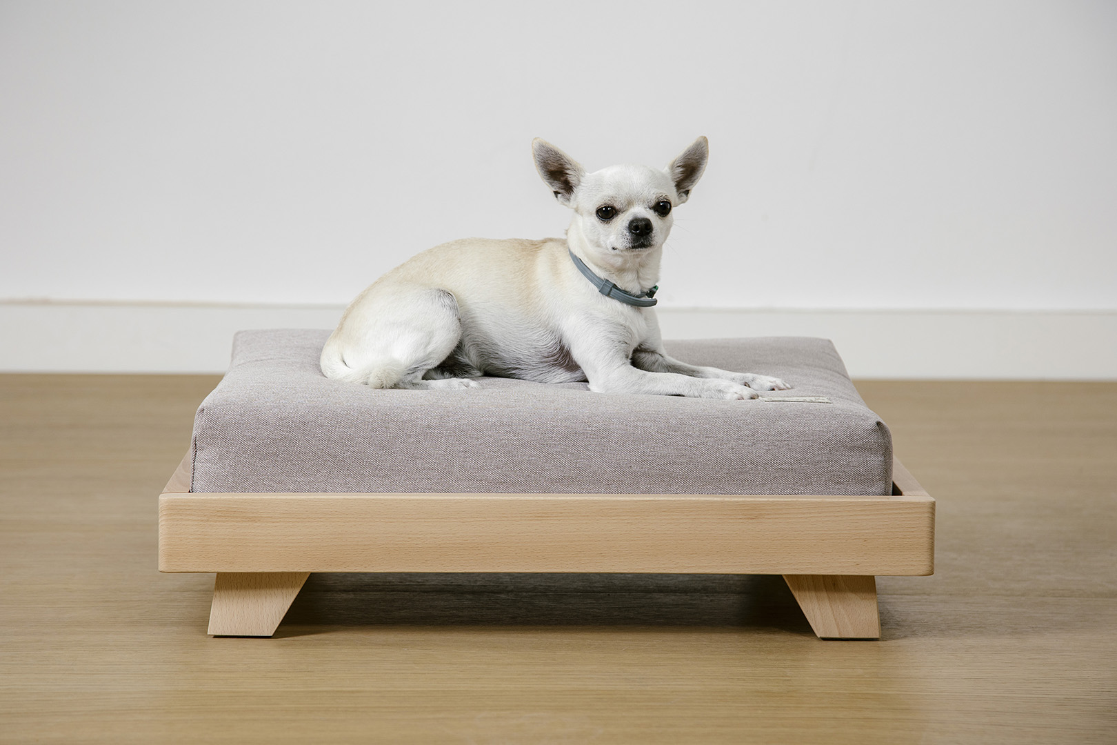 _GF_0212 (2023-06-07T15_51_06.457)