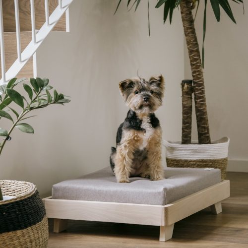 Tatami Mini Koda 2029 comprar cunas online