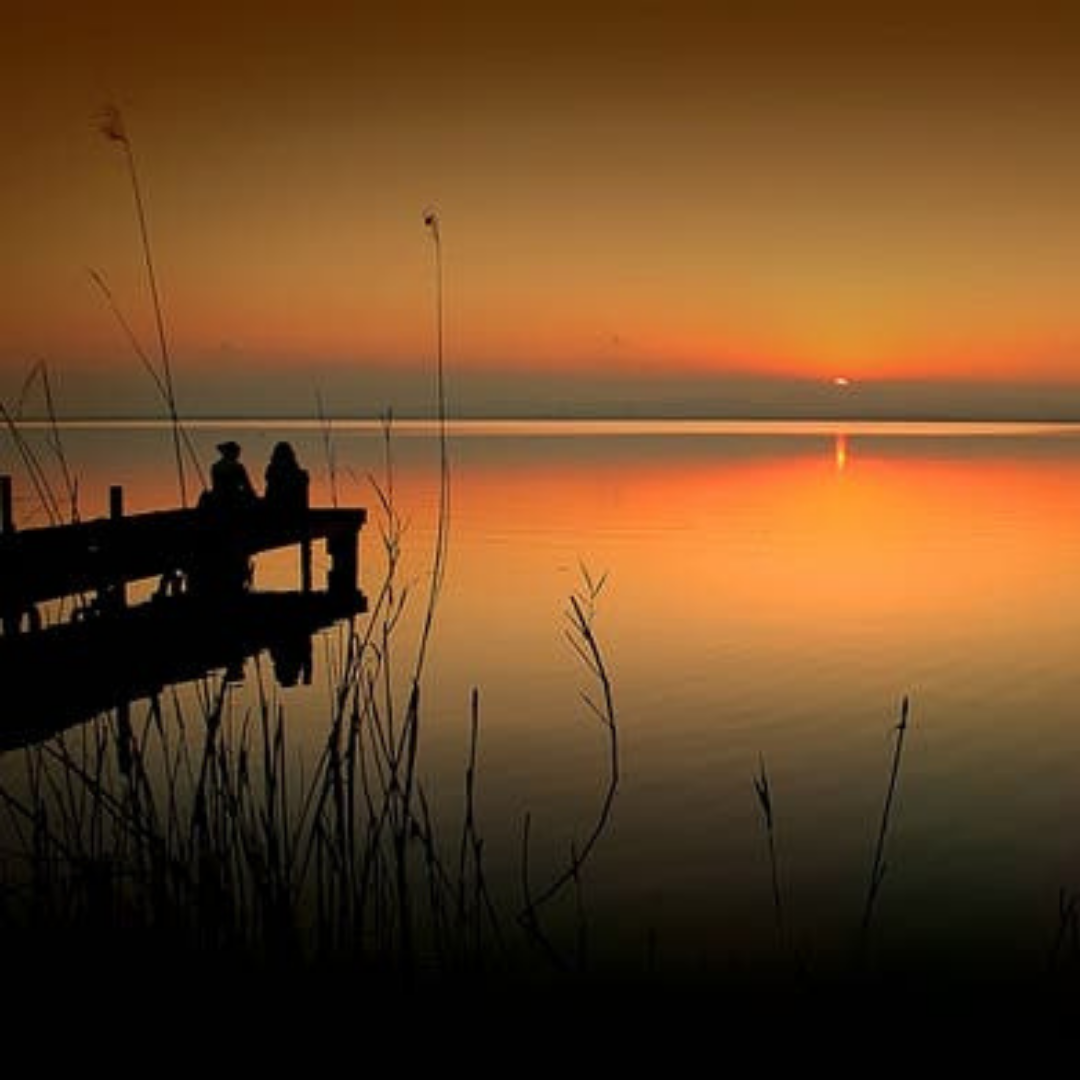 Micuna obtiene el certificado PEFC en cadena de custodia