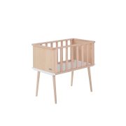 MICUNA-MINICUNA-NATURE