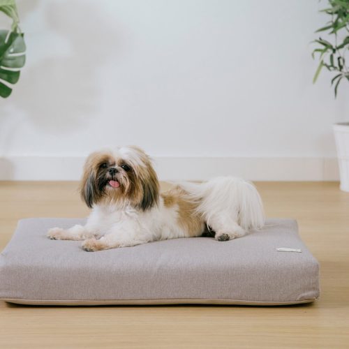 Colchón para perros 80 x 60 cm