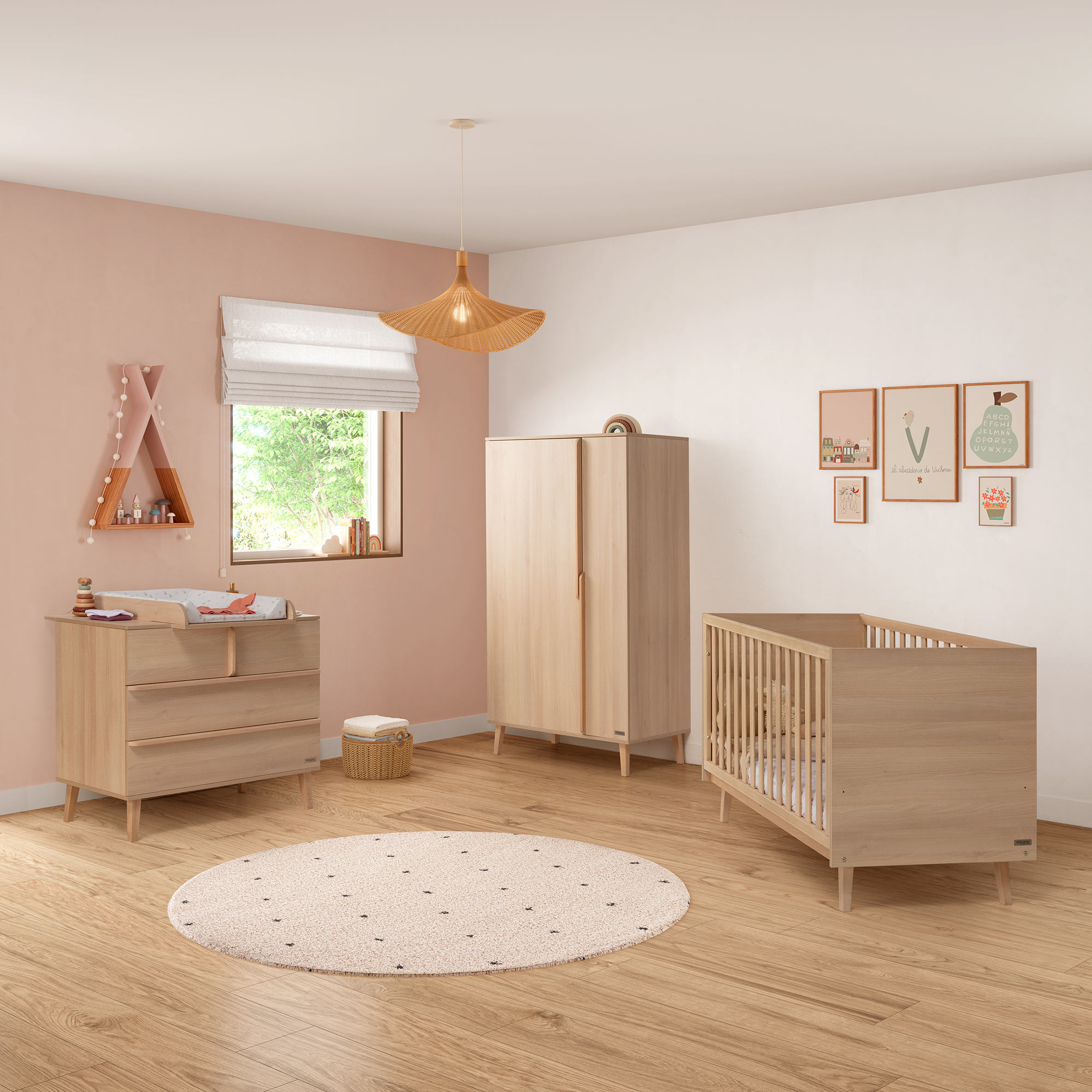 BIG MARTHA ACACIA 1 (1)